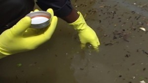 Hurricane Matthew water testing_Contact local health department