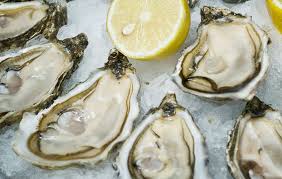 raw oysters on the half shell with lemon