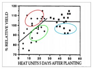Cover photo for Strategies for Planting Cotton in Suboptimal Conditions (Collins & Edmisten)