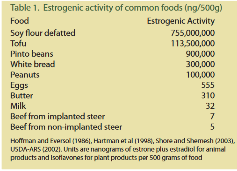 Estrogen In Food Chart