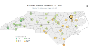 Cover photo for Cotton Planting Conditions May 11, 2020