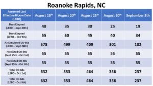 Cover photo for Defoliation Timing and Chasing This Top Crop (Collins & Edmisten)