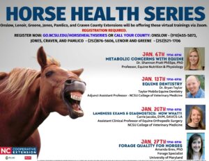 Cover photo for Horse Health Series