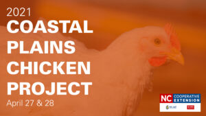 Orange over a broiler chicken with white text 2021 Coastal Plains Chicken Project April 27 & 28 and the N.C. Cooperative Extension logo