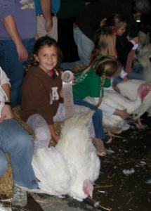 Cover photo for Preparing Your Turkey for the Youth Market Turkey Show
