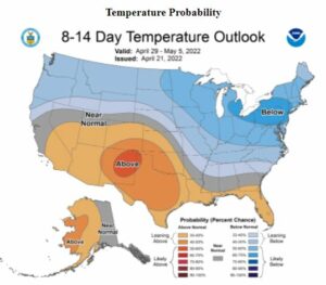Cover photo for Cotton Planting Conditions April 22, 2022