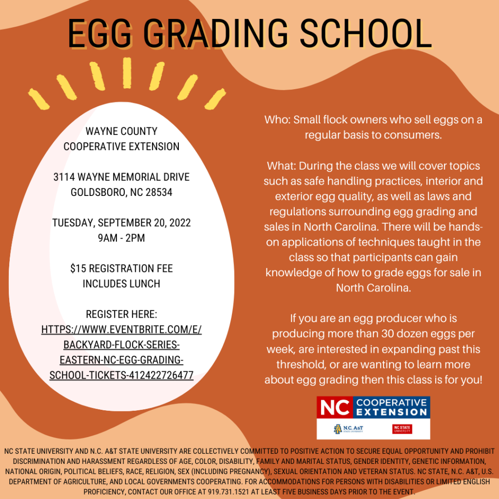 Egg Grading School