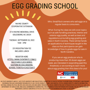 Egg Grading School