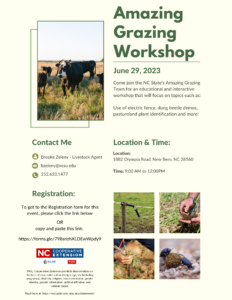 Cover photo for Amazing Grazing Workshop