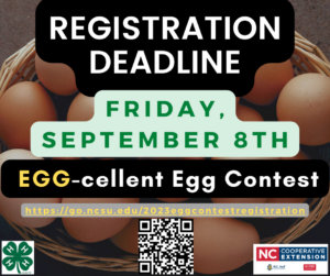 Cover photo for EGG-Cellent Egg Contest!