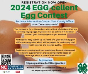 Cover photo for 2024 EGG-Cellent Egg Contest