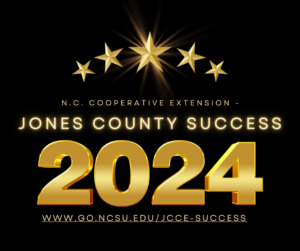 Cover photo for Celebrating Success: 2024 JCCE Accomplishments & Awards